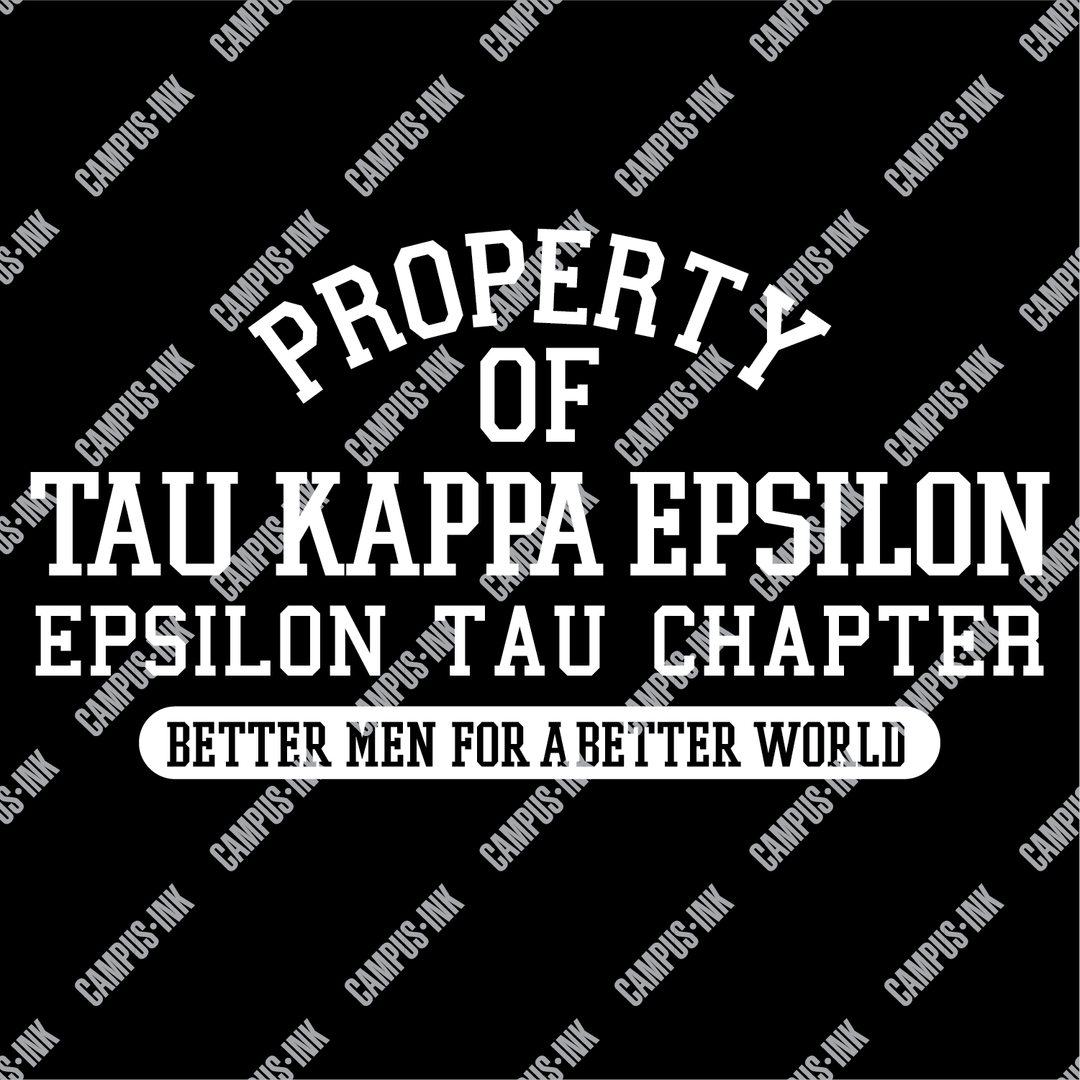 Tau Kappa Epsilon Property Of Design