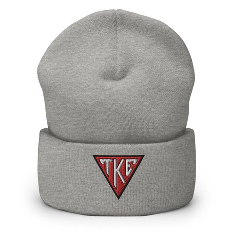 TKE Houseplate Embroidered Beanie in Grey